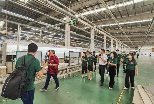 櫻花下，遇見生活之美 中國泛家居網紅聯盟探訪Sakura櫻花